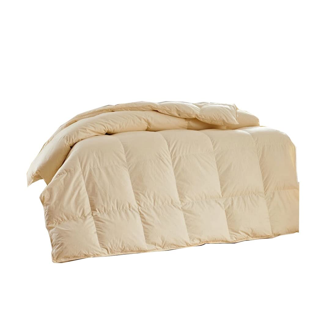 SWDIIWB Thick Four-Season Down Comforter