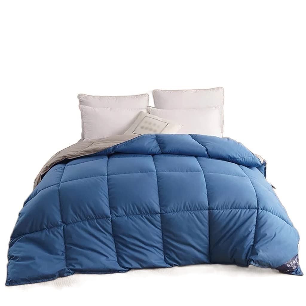 Winter Goose Down Comforter Collection