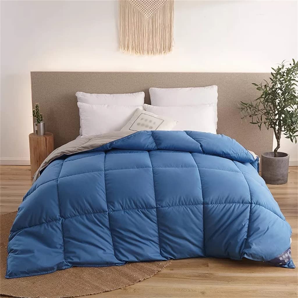 Winter Goose Down Comforter Collection