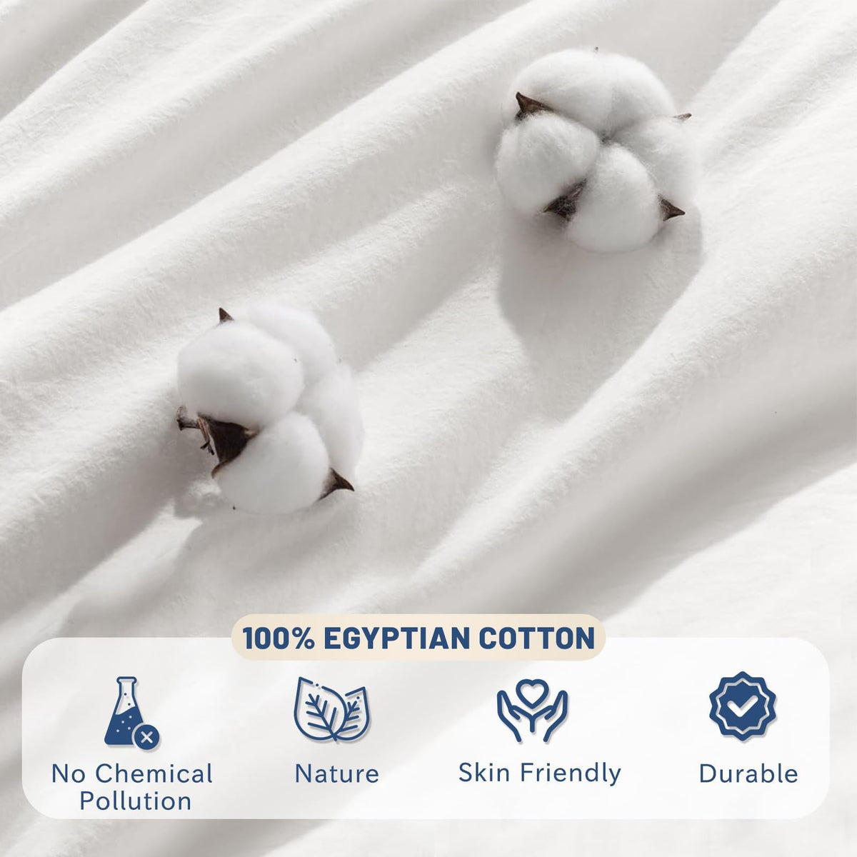 Divine Bedding 10-Piece All-Season Comforter Set